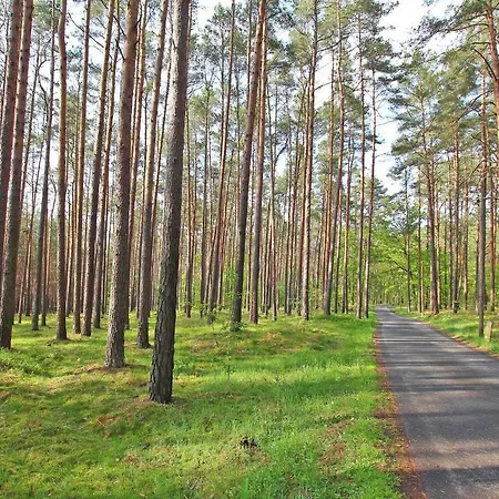 Am Wald - Vorp 2980 Apartment *